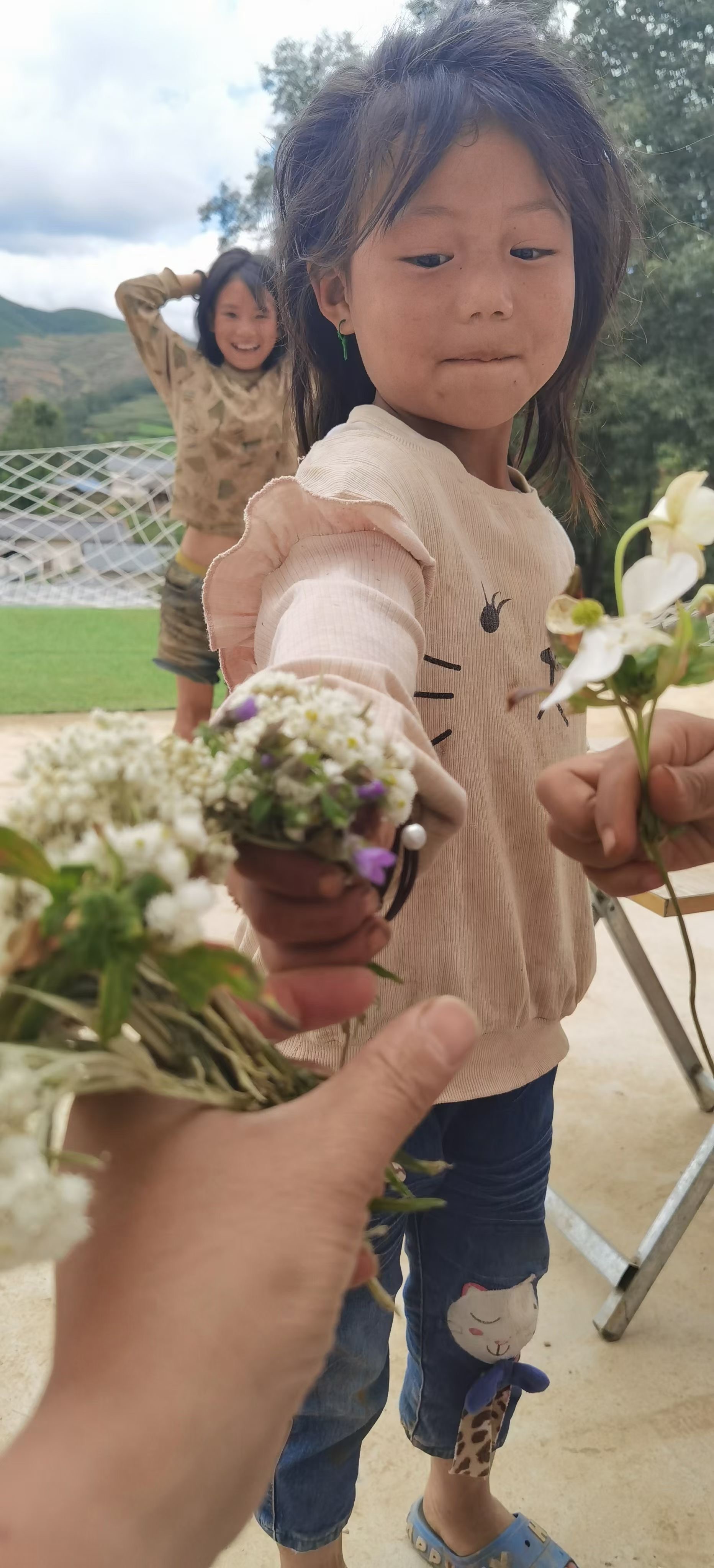 1733128560477238.jpg 1733128637539678.jpg